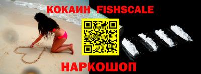 крисы Гай