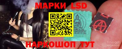 крисы Гай