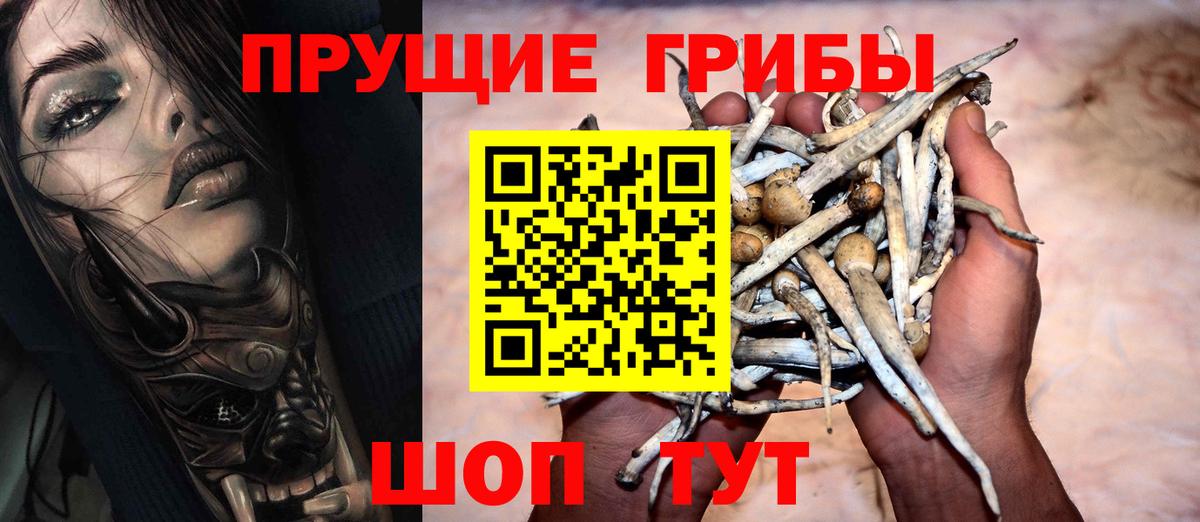 Галлюциногенные грибы прущие грибы Кизилюрт