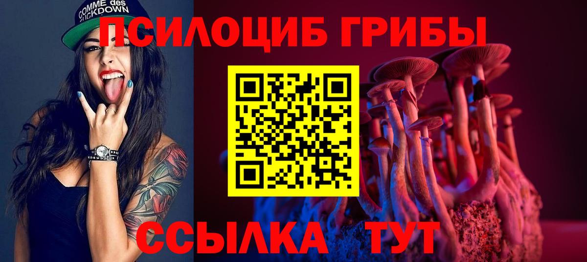 Псилоцибиновые грибы Psilocybine cubensis  Вход с VPN  Галлюциногенные грибы GOLDEN TEACHER  Кизилюрт 